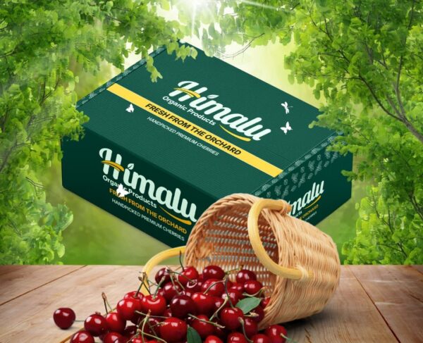 Fresh cherry gilgit baltistan