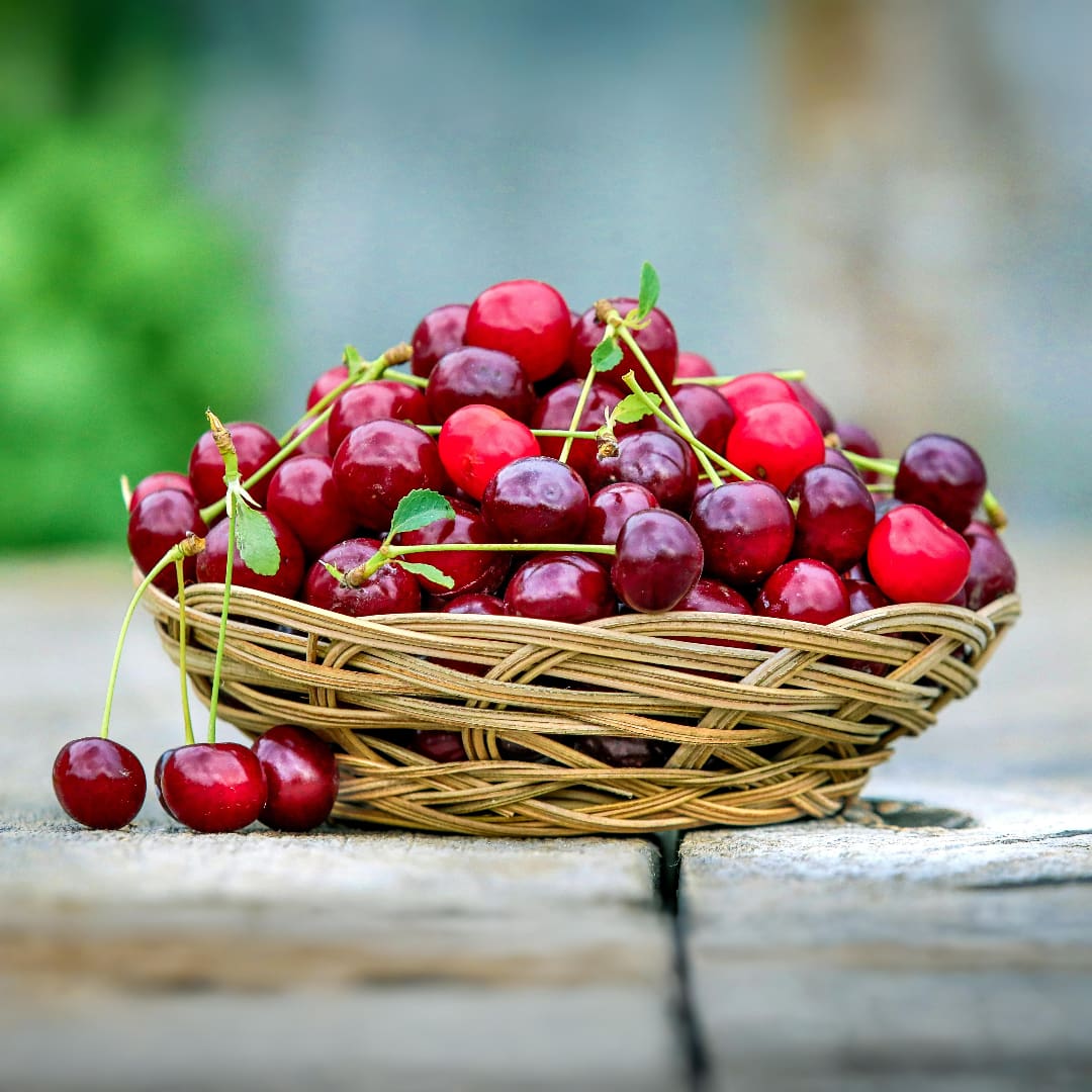 Fresh Cherry Gilgit Baltistan on Tree in Gilgit